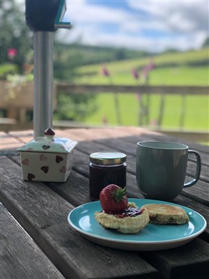 Tea with a view 